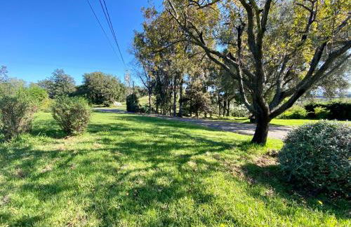 Domaine Punta della Guardia villa panorama maquis et mer, plage à 1,5 Km - Foto 20
