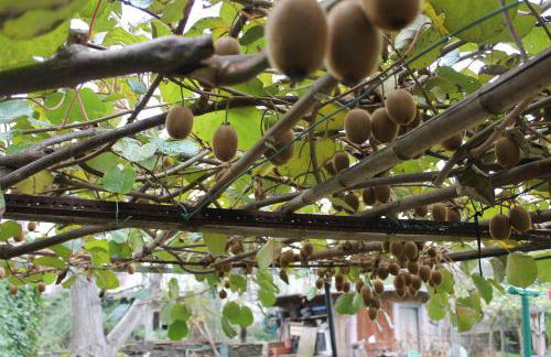 Aritza Apartamentos Turísticos Rurales - Foto 65