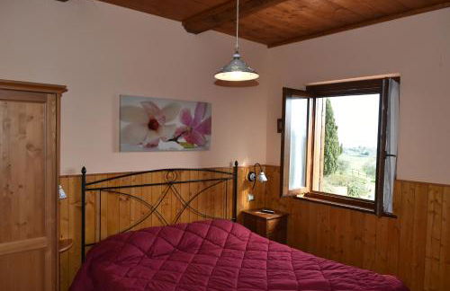 LAGO DI BOLSENA Agriturismo Le Ginestre - Foto 50