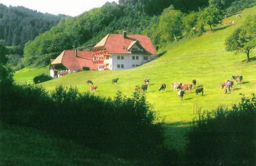 Farmhouse Escape in Hofstetten - Foto 13