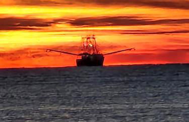 Playing Hookie LLC - Foto 35