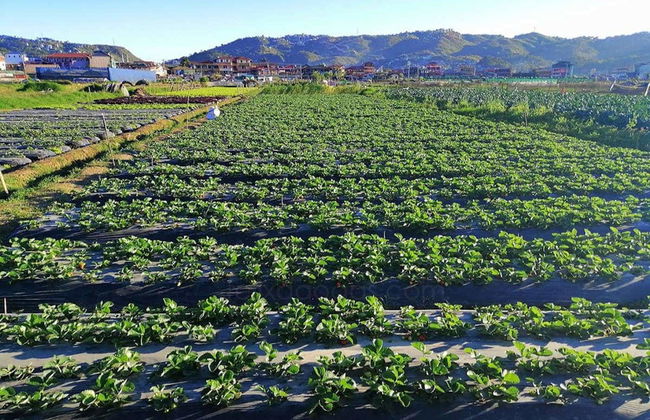 Belvedere di Kennon Road, villaggio Tam-Awan e Accademia Militare - Foto 3