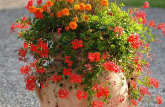 Agriturismo Bonello - Foto 76