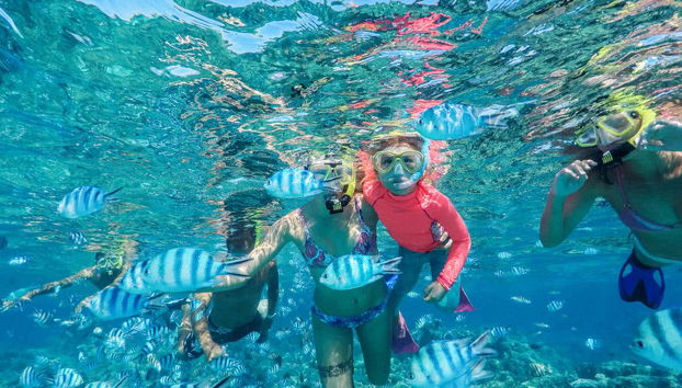 A family snorkeling