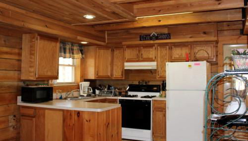 Pet-Friendly Cabin Rental in the Mountains near Beckley, West Virginia - Foto 3