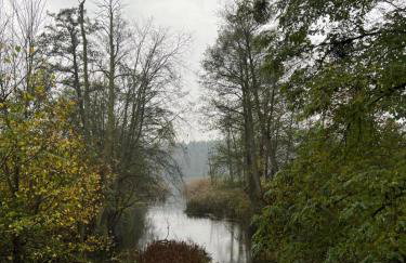 APARTAMENT CENTRUM - Foto 74