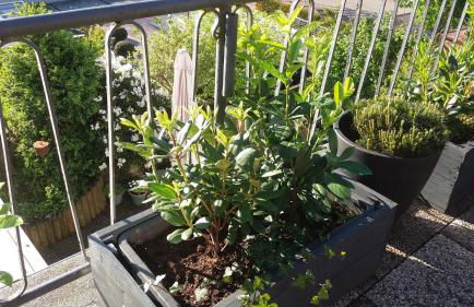 Ferienwohnung Brunnenstrasse - Foto 17