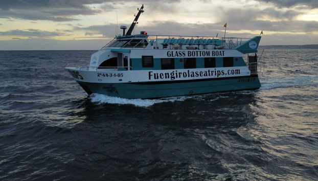 Avvistamento di delfini a Fuengirola - Foto 3