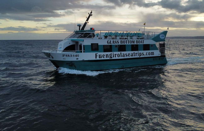 Avistamento de golfinhos em Fuengirola - Foto 3
