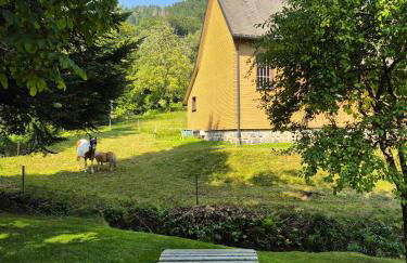 Haus Hees - Urlaub im Gletscherkessel Präg - Foto 18