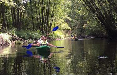 Komfortowy dom w lesie - Foto 33