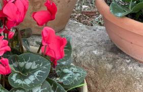 Vintage Home - bilocale in Salento - Foto 27