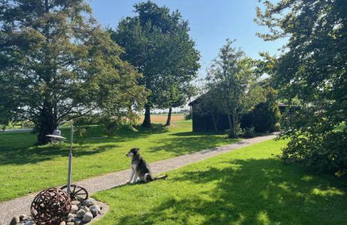 Ferienhof Reimers - Foto 58