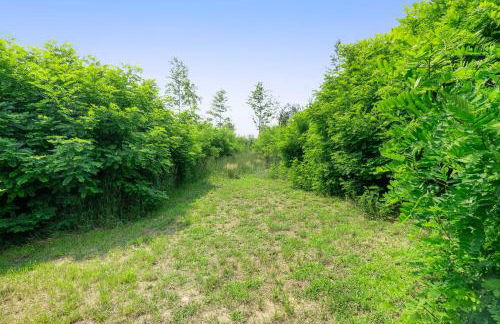 Crystal Mountain Charm - Foto 20