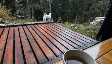 ~Chalet_Rifugio tra i boschi~ - Foto 3