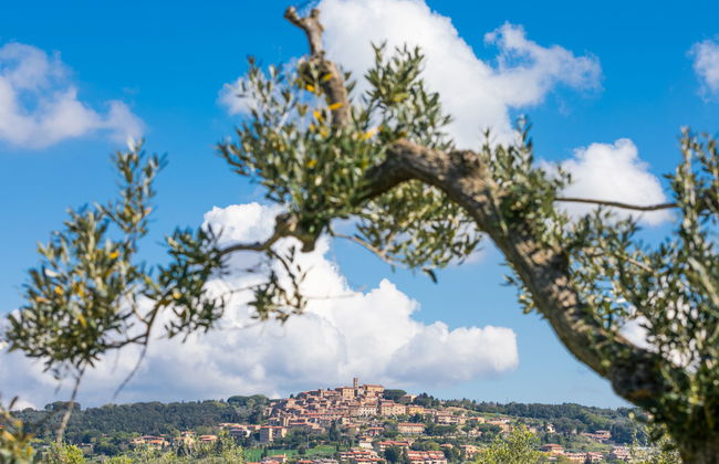 La Carraia - Foto 44