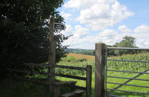 Stargazing Retreat - Foto 11