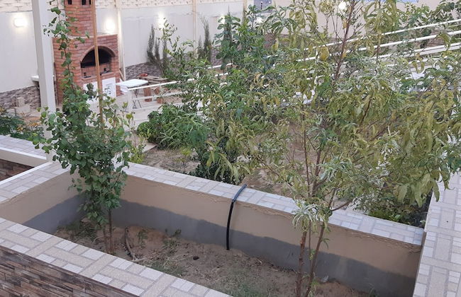 Alestiraha Elegant - Foto 20