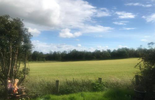 Peaceful Shepherd's Hut next to Horse Field - Foto 21