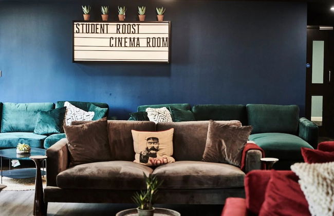 Student Only St David's - Photo 8