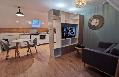 Les appartements du centre, refaits à neuf, climatisés, hyper centre, 50m à pieds des commerces, restaurants, parking gratuit - Foto 14