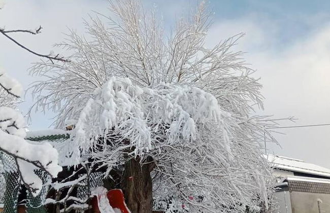 Ferienhaus Zum Unneschmitz - Foto 49