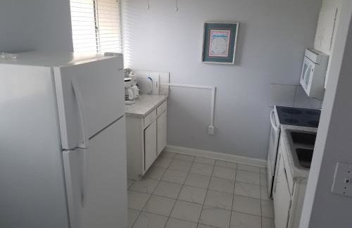 Sea Palm G - Foto 10