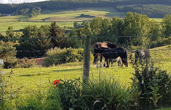 Woodpeckers Cottage - Photo 24