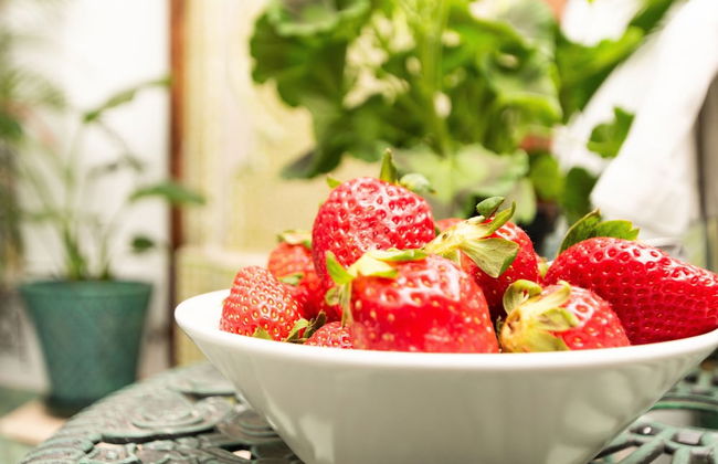 Casa Esmeralda Luxury Boutique Apartments Old Town - Foto 40