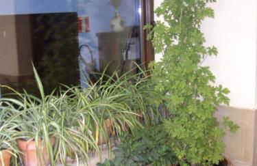 Casa Rural Rojanda - Foto 31