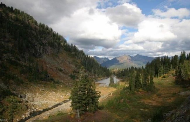 94SLL - Inexpensive - Fireplace - WiFi - Sleeps 4 - Foto 6