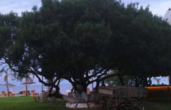 Melivia Luxury Suite - Photo 25