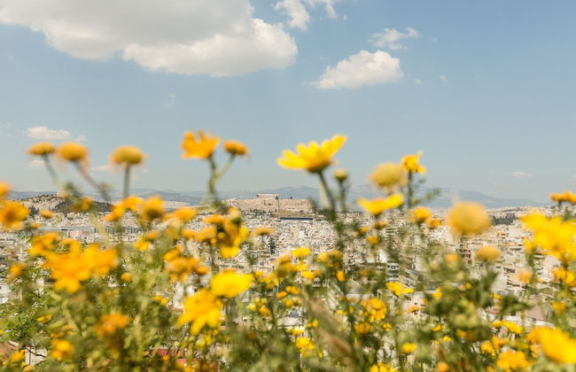 Splendid Views from a Cozy Cottage with a Garden Terrace - Foto 29