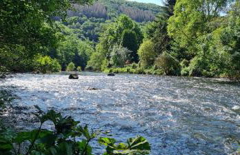 Eifelhof mit Obstbaumwiese - Foto 30