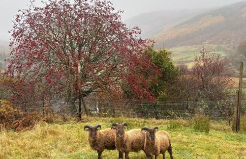 Bluebell Croft - Photo 28