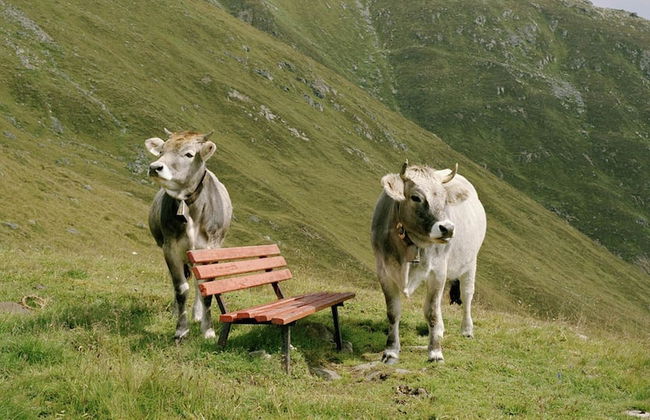 Vintage Apartment With Sauna in Hopfgarten - Foto 52