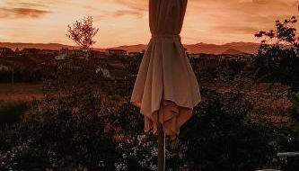 The Olive Grove in Tuscany - Foto 5