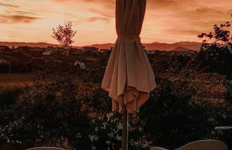 The Olive Grove in Tuscany - Foto 5