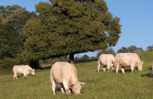 Betzemühle 2 Bauernhof - Foto 15