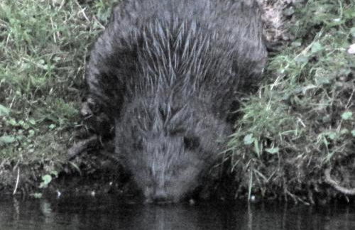 Gut Kallerbend - Foto 32