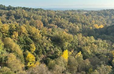 Casa rural Aloha Vera - Foto 11