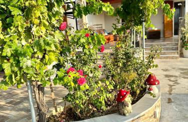 Villa Fior Di Lixouri - Photo 18