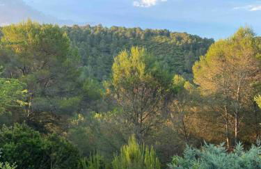 4BR Villa w private pool near beach Oliva Valencia - Foto 64