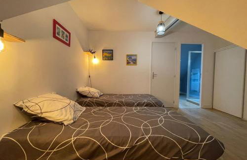 Plein centre Auray - Grand duplex 2 suites avec terrasse ensoleillée - Foto 15