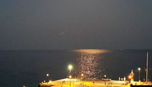 Sunrise Flora - Foto 5