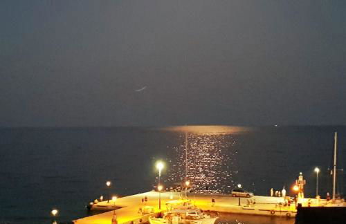 Sunrise Flora - Foto 5