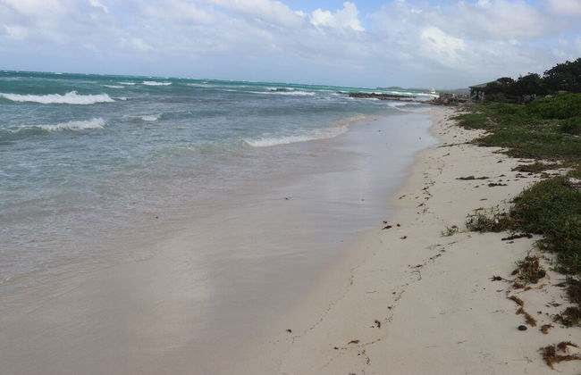 Beach Palm Villa - Photo 54