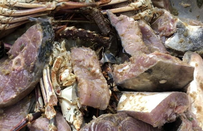 Castara Inn - Photo 42