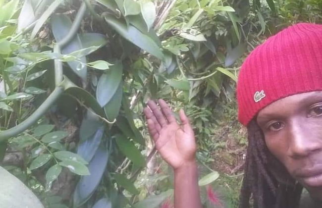 Berkey's Jungle Paradise - Photo 61