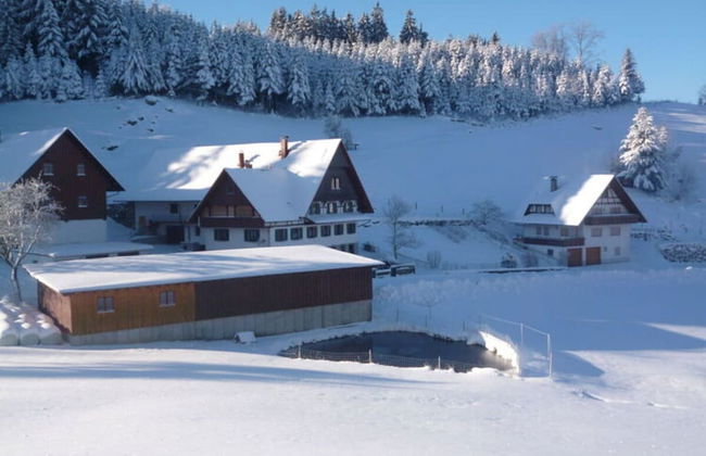 Holiday Apartment Ferienhof Benz - Foto 20